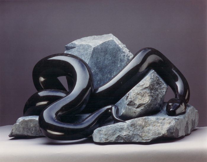 black_snake_by_wnutt_dgklz2 (700x548, 113Kb)