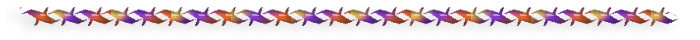 8 (700x40, 31Kb)