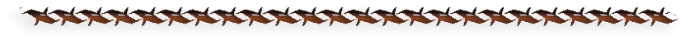 8 (700x40, 27Kb)