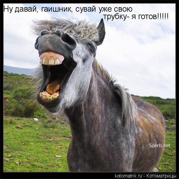 4743317_W3 (600x600, 70Kb)