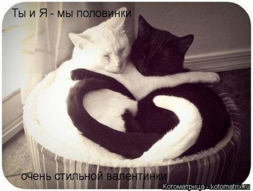 https://img1.liveinternet.ru/images/attach/d/4/163/844/163844175_4743317_f17ac2f204.jpg