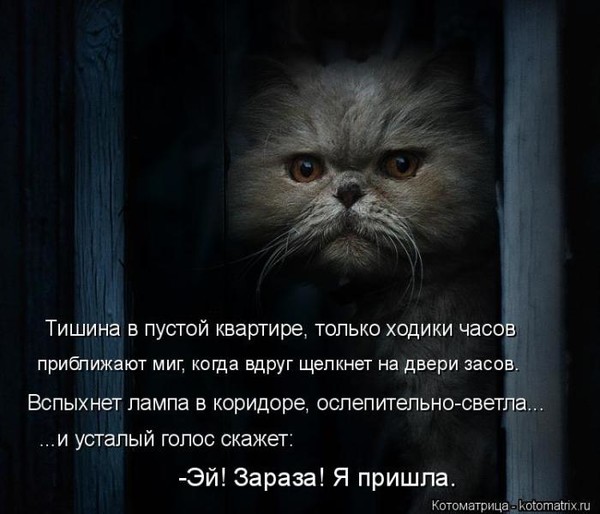 4743317_i5431 (600x514, 61Kb)