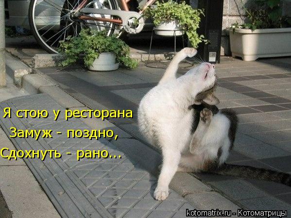 4743317_ar (599x450, 61Kb)