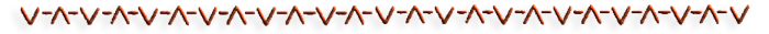 -16 (700x31, 28Kb)