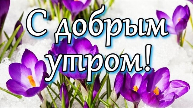 4743317_image20220225_11_39_51 (640x360, 78Kb)