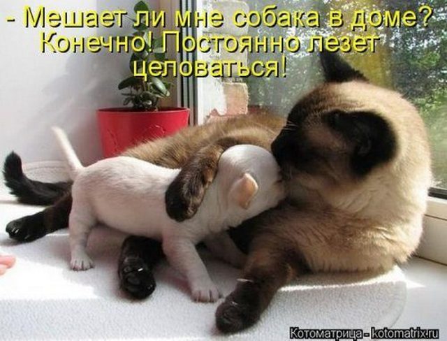 4743317_31852cdf44 (640x488, 60Kb)