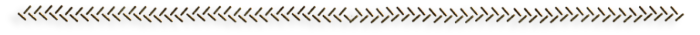 0-2 (700x35, 35Kb)