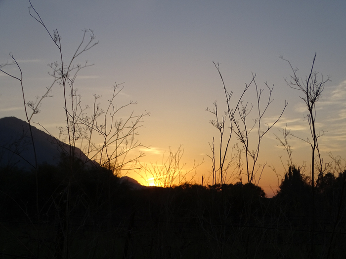 DSC00398 (700x525, 294Kb)