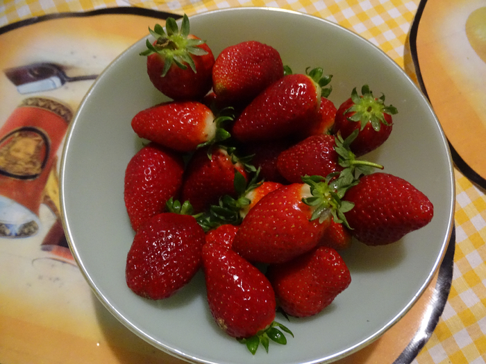 DSC00407 (700x525, 439Kb)