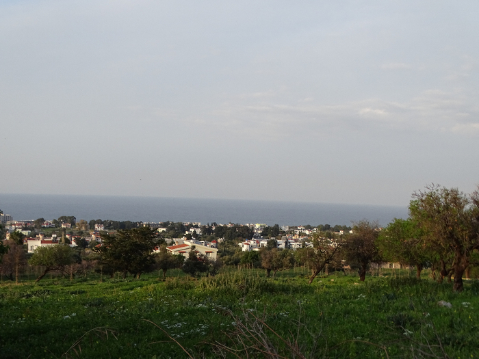 DSC00496 (700x525, 322Kb)