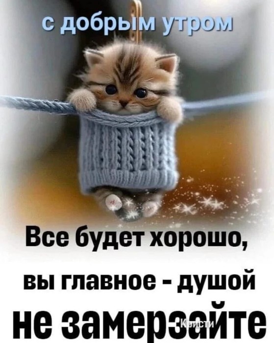 4743317_image (559x700, 78Kb)