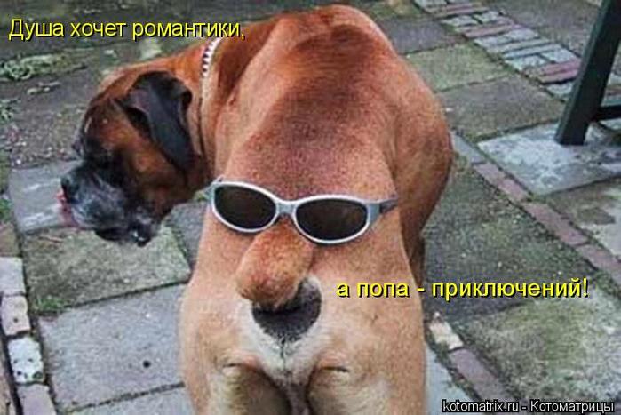 4743317_bD (700x467, 56Kb)