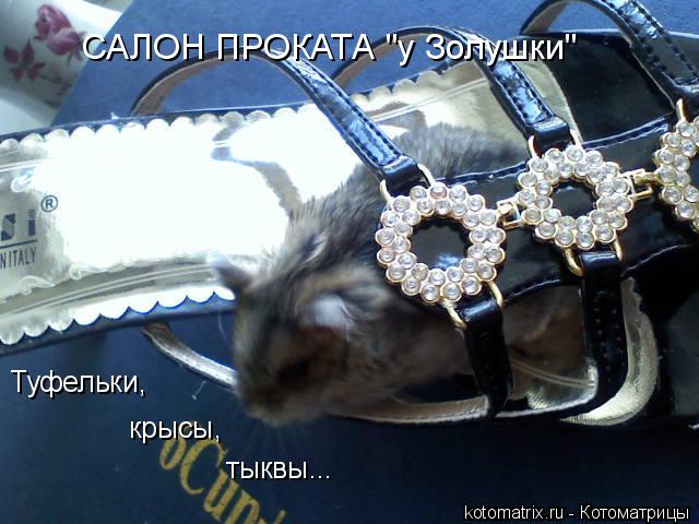 4743317_pu (640x480, 53Kb)
