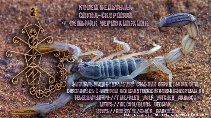 Сигил - Скорпион.. (700x393, 324Kb)