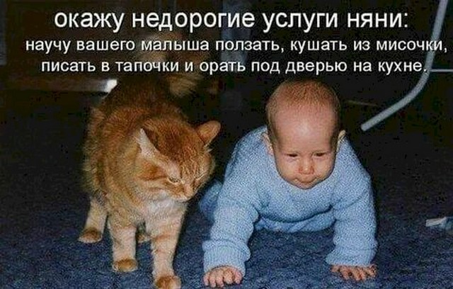 4743317_f74bbad9 (640x408, 80Kb)