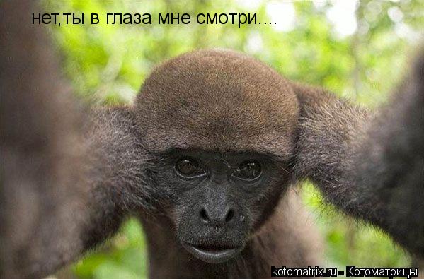 4743317_kL (599x395, 42Kb)