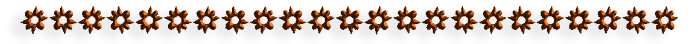 3001-3 (700x44, 37Kb)