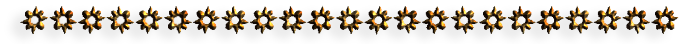3001-3-3 (700x44, 42Kb)