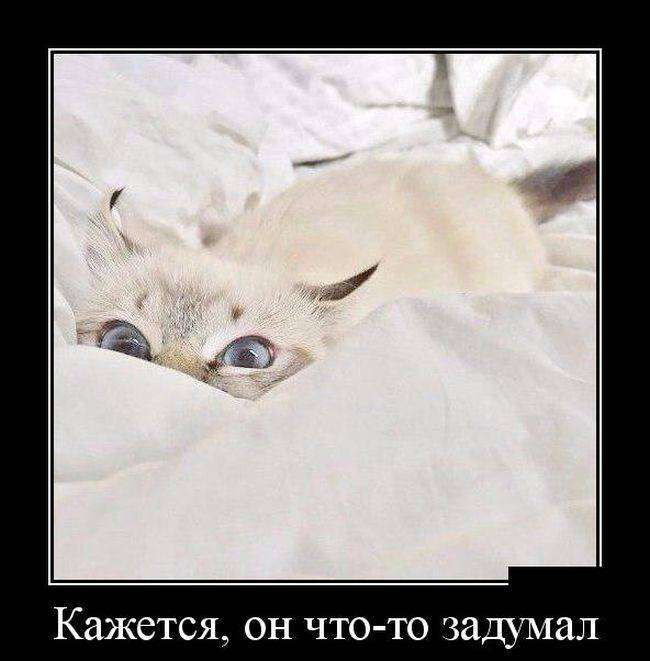 4743317_1442265190_28 (650x661, 36Kb)