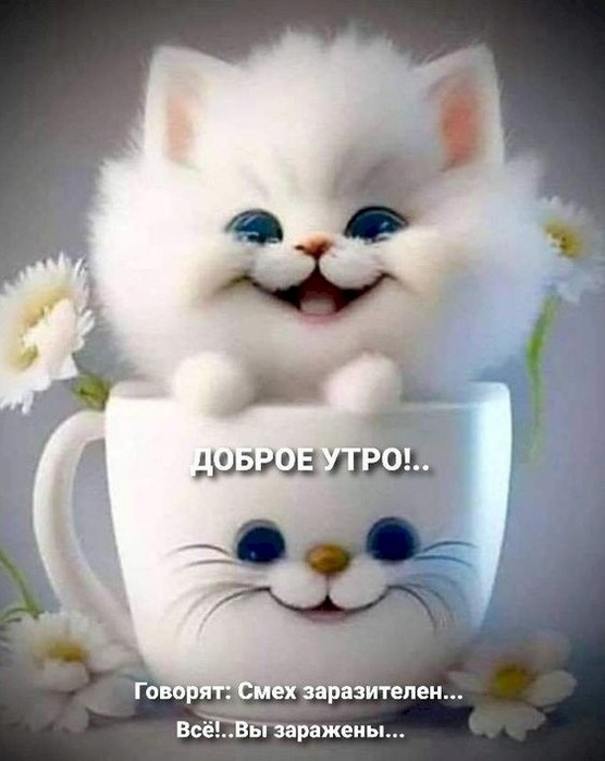 4743317_9c248826 (556x700, 61Kb)