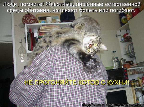 4743317_i23372 (600x449, 101Kb)