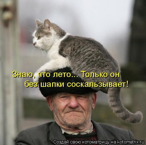 4743317_i23367 (504x501, 34Kb)