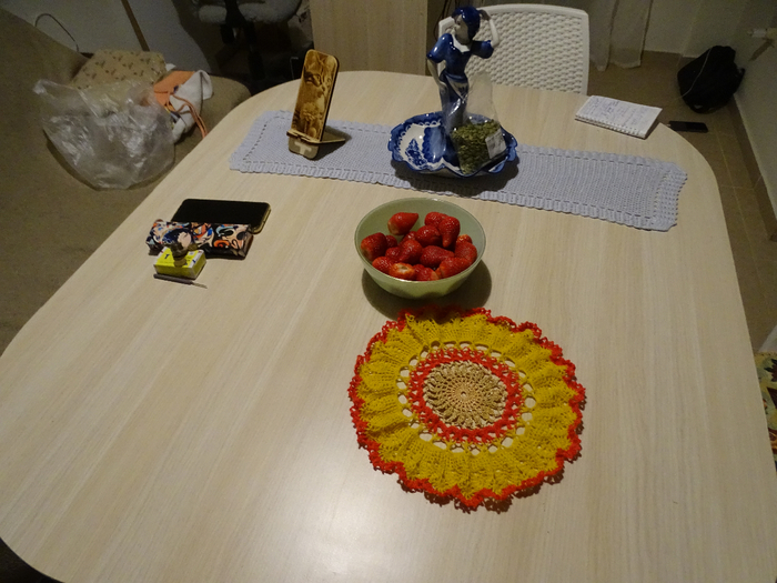 DSC00094 (700x525, 384Kb)