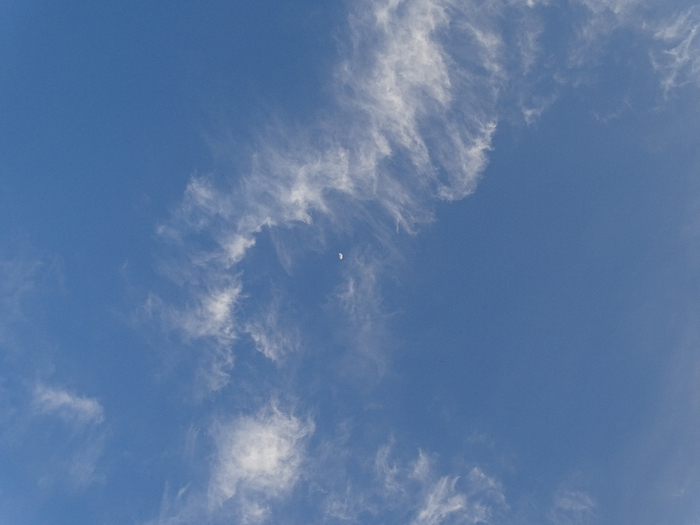 DSC00161 (700x525, 258Kb)
