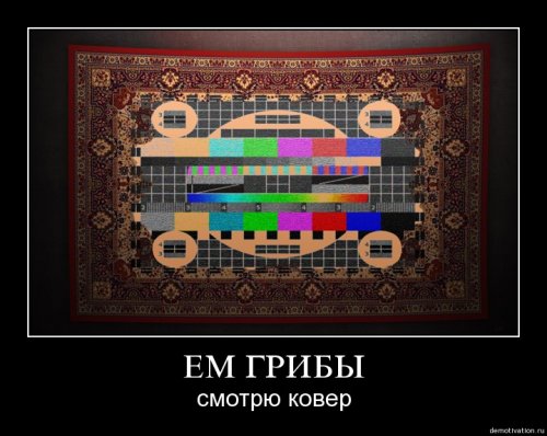 4743317_1254135645_101 (500x398, 39Kb)