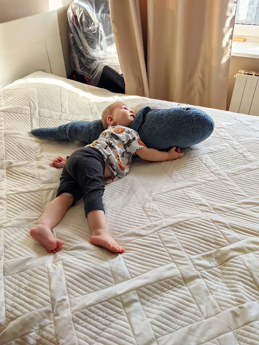 IMG_20250307_094316 (525x700, 455Kb)