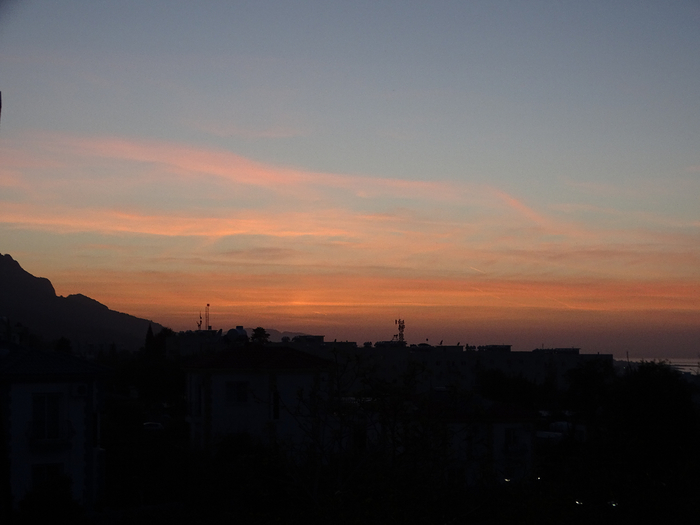DSC00029 (700x525, 223Kb)