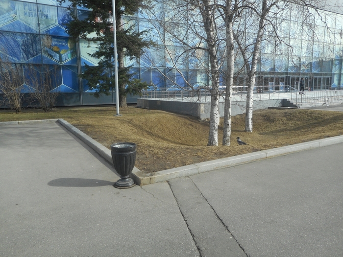 4752699_DSCN0634 (700x525, 316Kb)