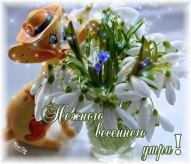 4743317_image20210225_07_56_47 (640x547, 213Kb)