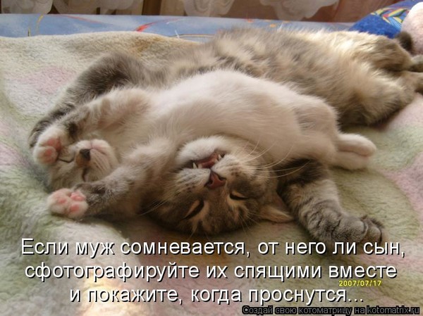 4743317_i23365 (600x449, 78Kb)