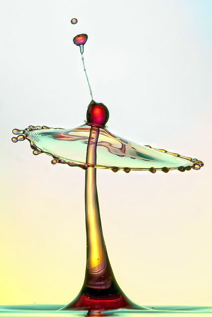 enhanced-buzz-16169-1303764273-29 (427x640, 142Kb)