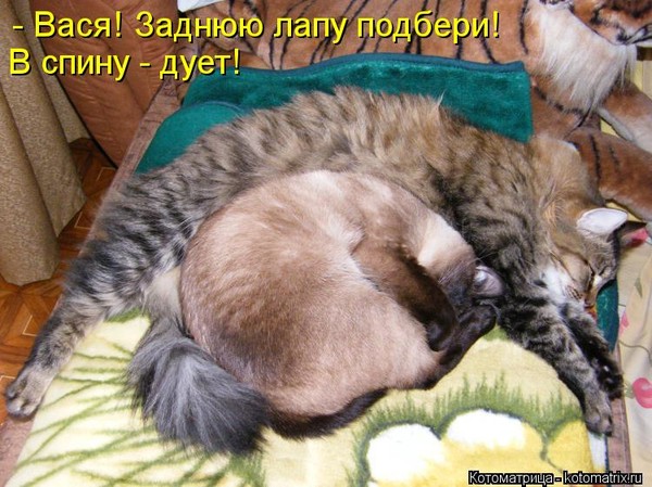 4743317_i23359 (600x449, 93Kb)