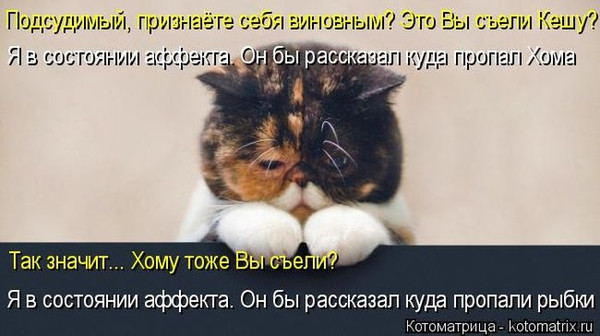 4743317_i5501 (600x336, 61Kb)