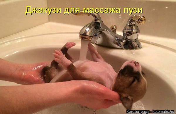 4743317_i5500 (600x390, 48Kb)