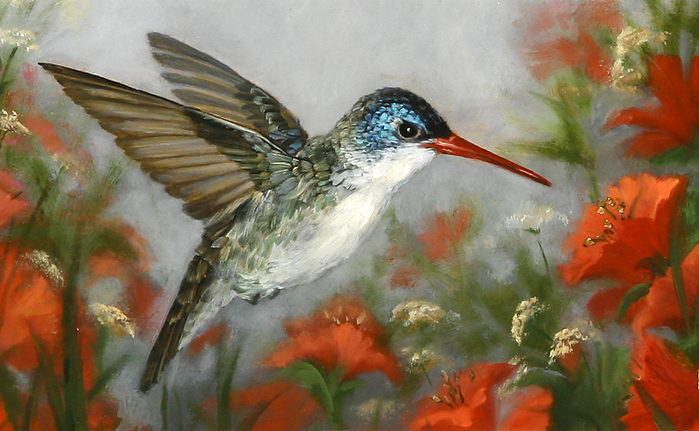 1355828230-1092357-www.nevsepic.com.ua (700x431, 377Kb)