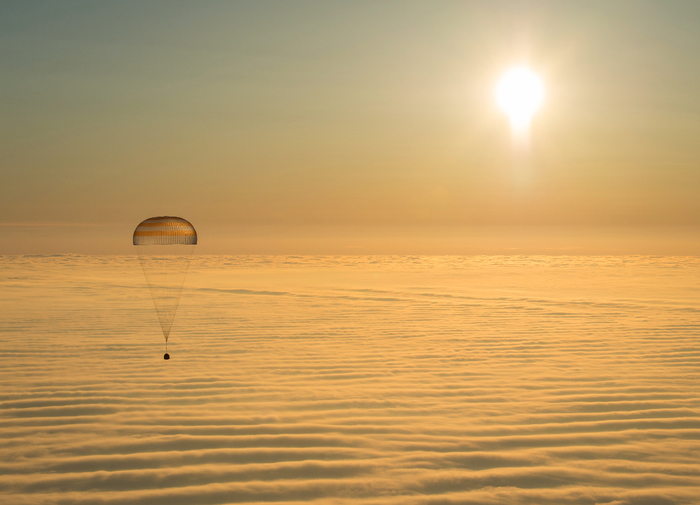 NASA, Bill Ingalls (700x505, 298Kb)