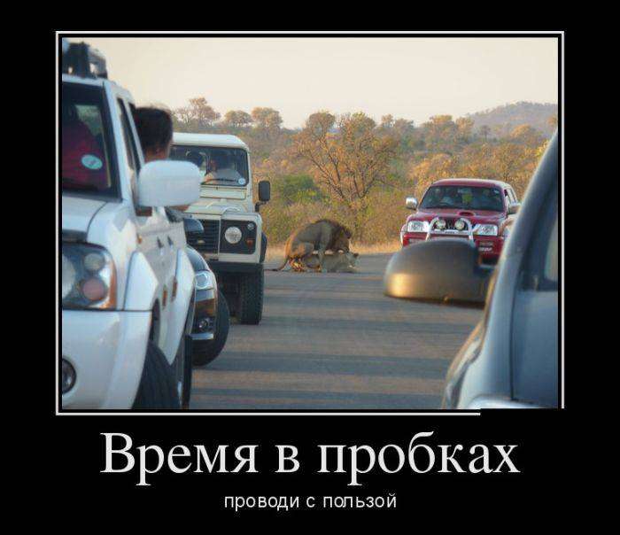 4743317_1442265254_19 (700x604, 38Kb)