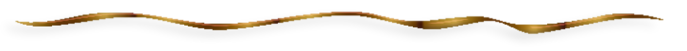 Wave3- (700x51, 14Kb)