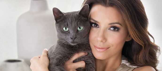 3109898_rek_sheba_nik_eva (689x305, 16Kb)