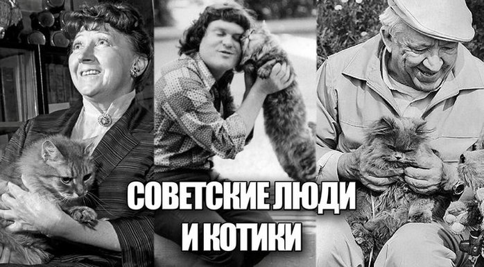 3109898_sovet__kotiki (700x385, 82Kb)