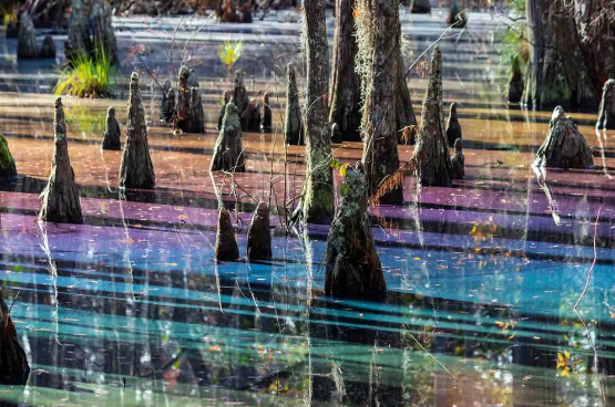 яяяяяяяяяяяяяяяяяяяяяяяяяяяяяяяяяяяяяяяяяяяяяяяяяяя (555x368, 478Kb)