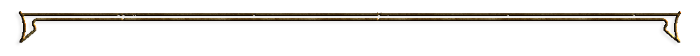 24886781-1 (700x56, 21Kb)