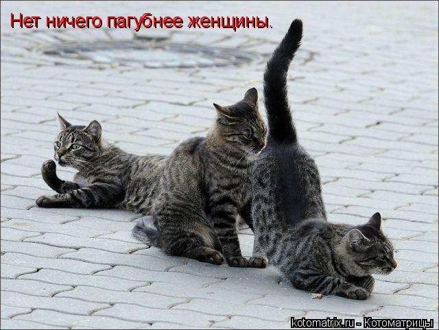 4743317_U (640x481, 58Kb)