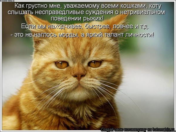 4743317_i23441 (600x449, 85Kb)