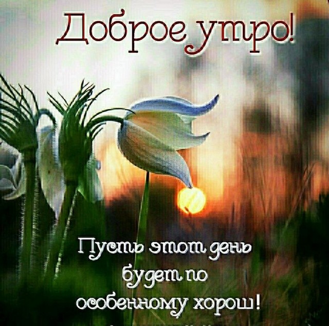 4743317_image20220324_09_53_46 (640x635, 110Kb)