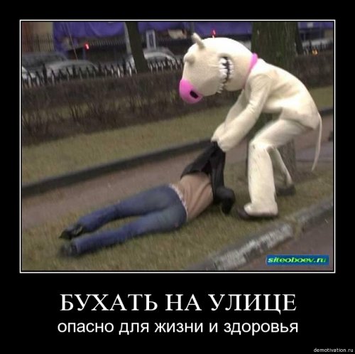 4743317_1254919404_039 (500x498, 37Kb)